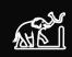 Elephant & Rope logo